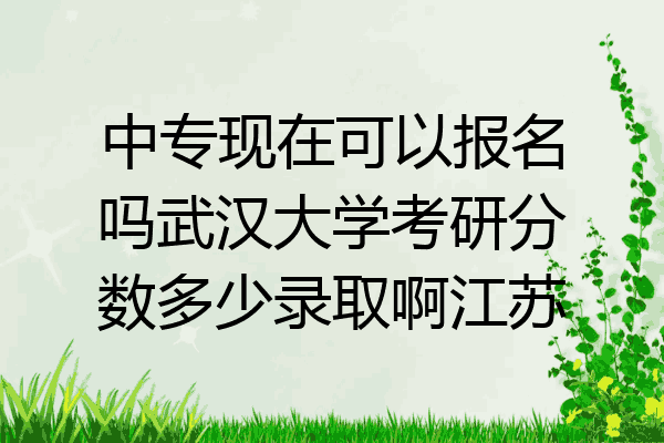 中专现在可以报名吗武汉大学考研分数多少录取啊江苏