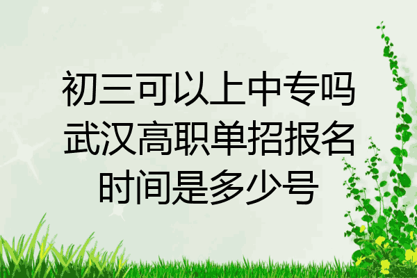 初三可以上中专吗武汉高职单招报名时间是多少号
