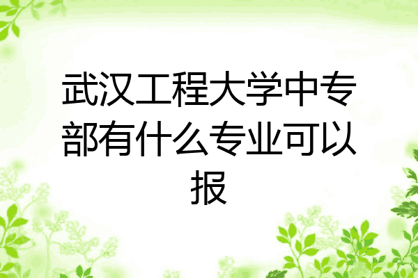 武汉工程大学中专部有什么专业可以报