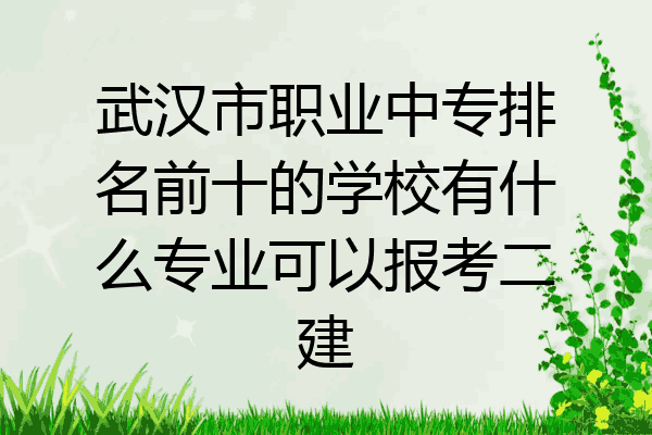武汉市职业中专排名前十的学校有什么专业可以报考二建