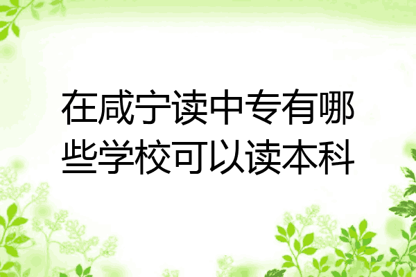 在咸宁读中专有哪些学校可以读本科
