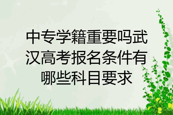 中专学籍重要吗武汉高考报名条件有哪些科目要求