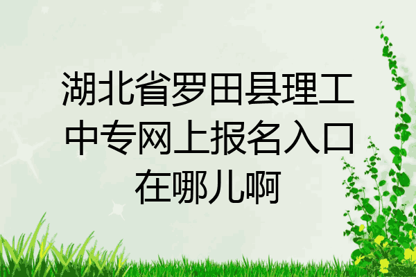 湖北省罗田县理工中专网上报名入口在哪儿啊