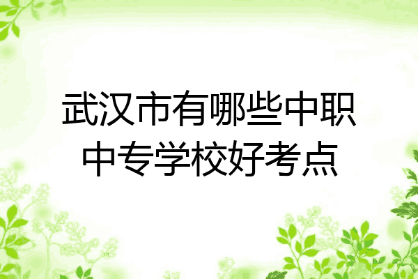 武汉市有哪些中职中专学校好考点