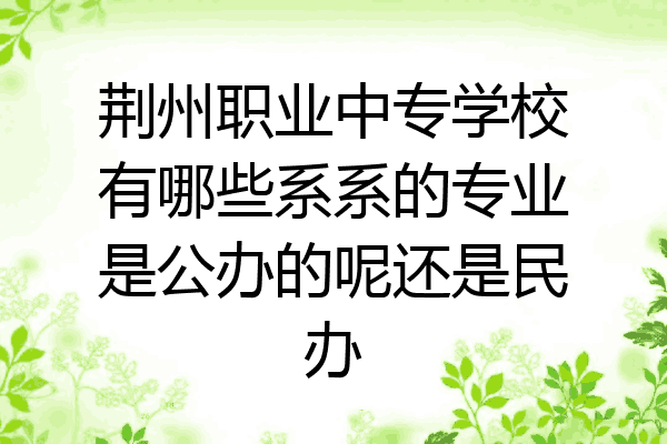荆州职业中专学校有哪些系系的专业是公办的呢还是民办