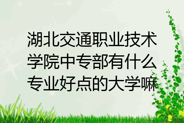 湖北交通职业技术学院中专部有什么专业好点的大学嘛