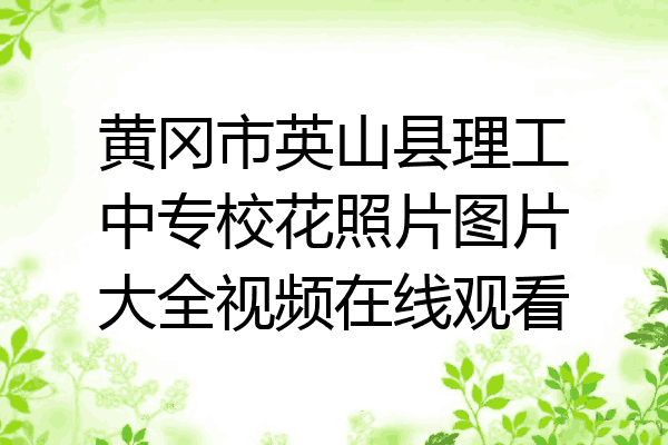黄冈市英山县理工中专校花照片图片大全视频在线观看
