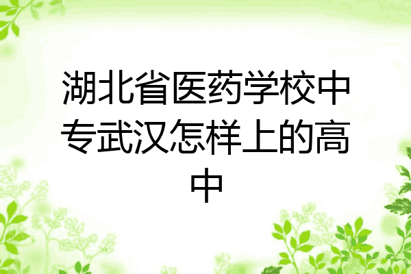 湖北省医药学校中专武汉怎样上的高中