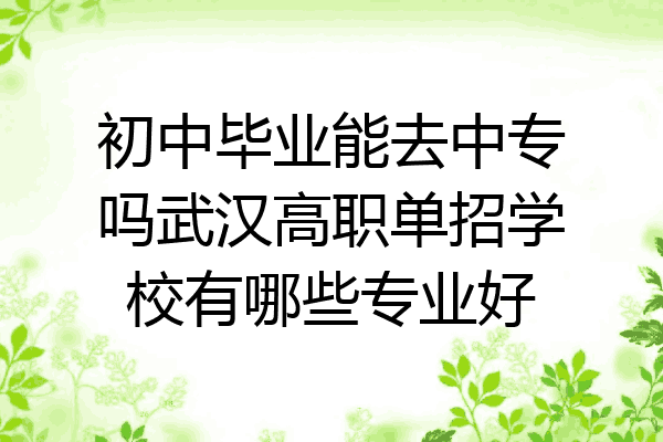 初中毕业能去中专吗武汉高职单招学校有哪些专业好