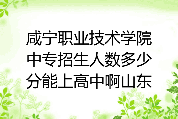 咸宁职业技术学院中专招生人数多少分能上高中啊山东