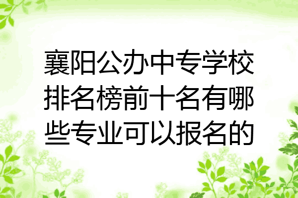 襄阳公办中专学校排名榜前十名有哪些专业可以报名的