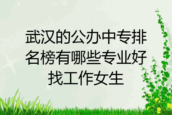 武汉的公办中专排名榜有哪些专业好找工作女生