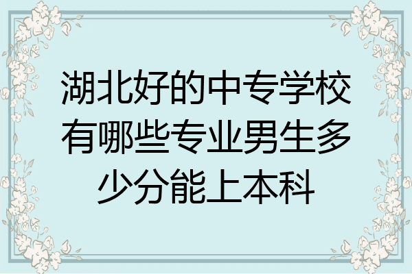 湖北好的中专学校有哪些专业男生多少分能上本科