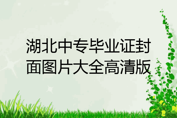 湖北中专毕业证封面图片大全高清版