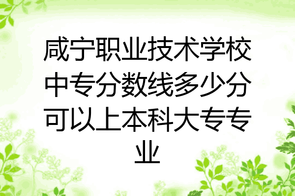 咸宁职业技术学校中专分数线多少分可以上本科大专专业
