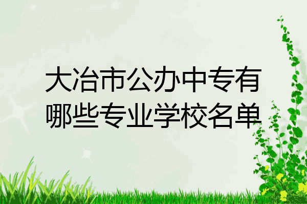 大冶市公办中专有哪些专业学校名单