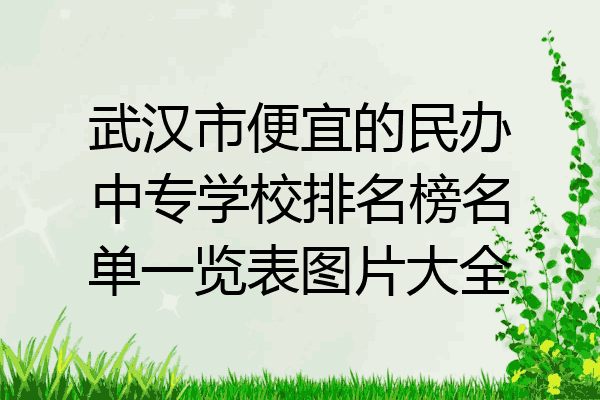 武汉市便宜的民办中专学校排名榜名单一览表图片大全