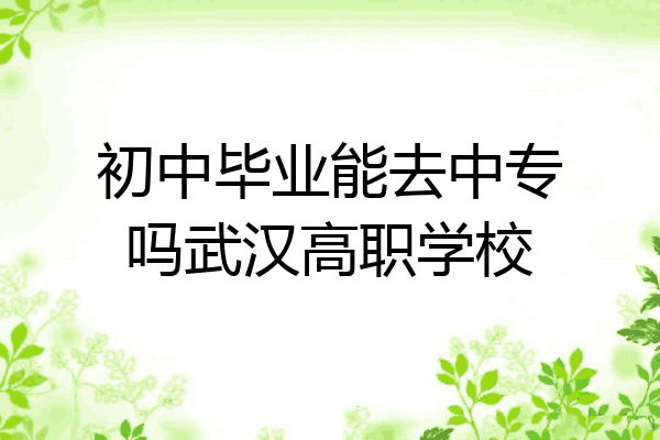 初中毕业能去中专吗武汉高职学校