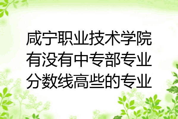 咸宁职业技术学院有没有中专部专业分数线高些的专业