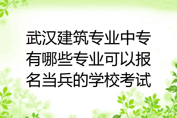 武汉建筑专业中专有哪些专业可以报名当兵的学校考试