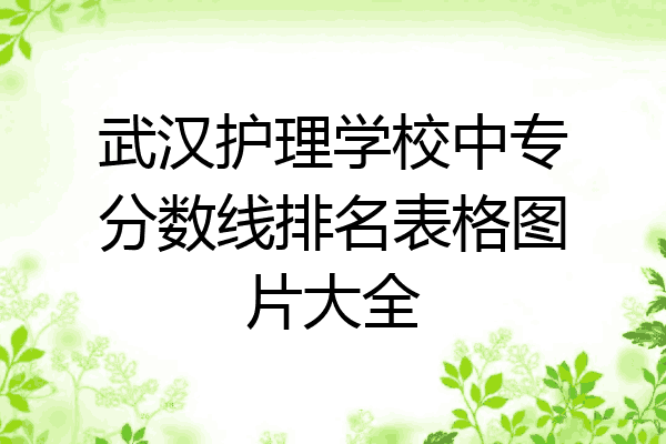 武汉护理学校中专分数线排名表格图片大全