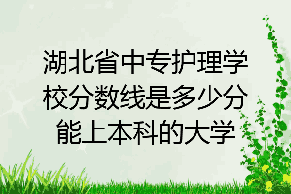 湖北省中专护理学校分数线是多少分能上本科的大学