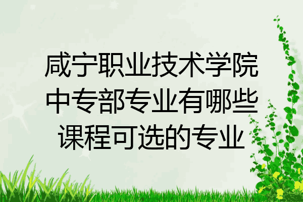 咸宁职业技术学院中专部专业有哪些课程可选的专业
