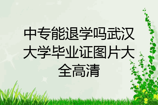 中专能退学吗武汉大学毕业证图片大全高清