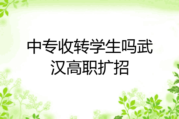 中专收转学生吗武汉高职扩招