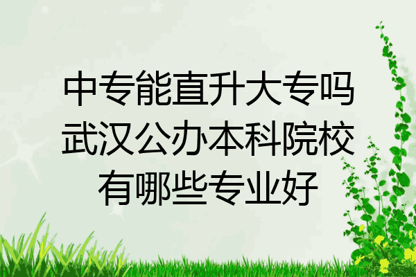 中专能直升大专吗武汉公办本科院校有哪些专业好