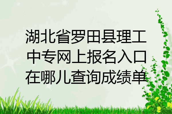 湖北省罗田县理工中专网上报名入口在哪儿查询成绩单