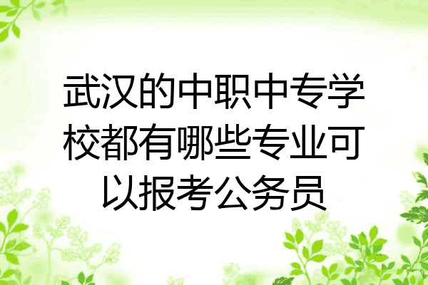 武汉的中职中专学校都有哪些专业可以报考公务员