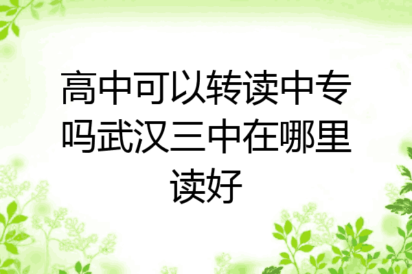 高中可以转读中专吗武汉三中在哪里读好