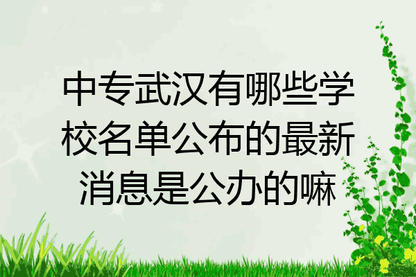 中专武汉有哪些学校名单公布的最新消息是公办的嘛