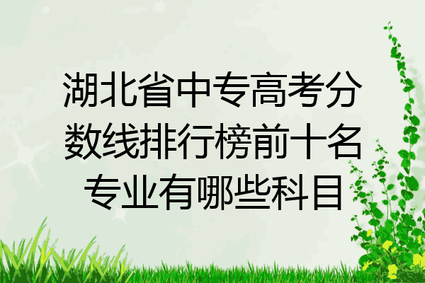 湖北省中专高考分数线排行榜前十名专业有哪些科目