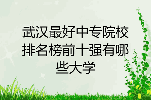 武汉最好中专院校排名榜前十强有哪些大学