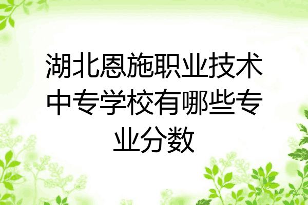 湖北恩施职业技术中专学校有哪些专业分数