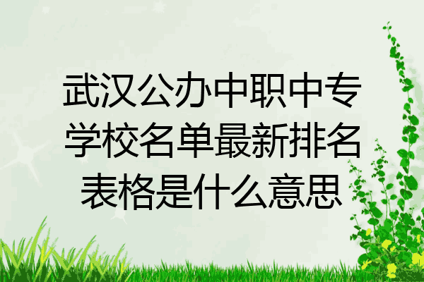 武汉公办中职中专学校名单最新排名表格是什么意思