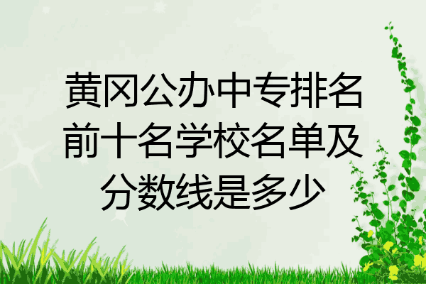 黄冈公办中专排名前十名学校名单及分数线是多少