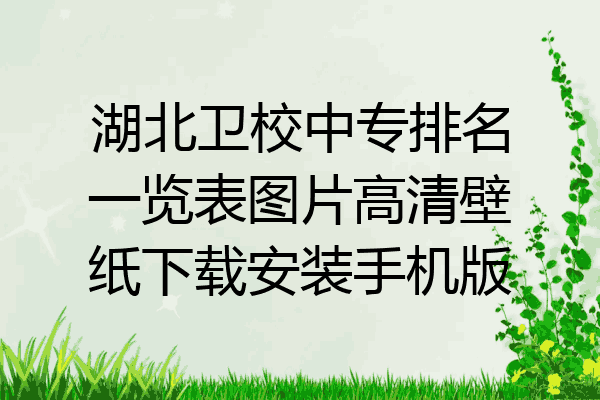 湖北卫校中专排名一览表图片高清壁纸下载安装手机版