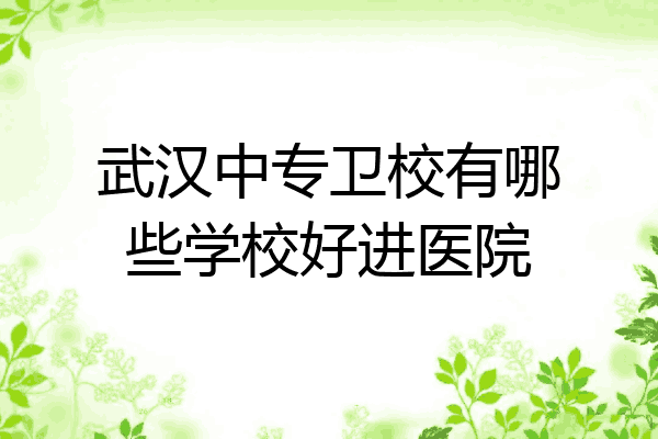 武汉中专卫校有哪些学校好进医院