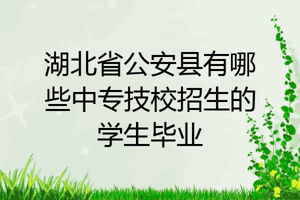 湖北省公安县有哪些中专技校招生的学生毕业