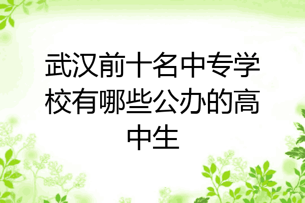 武汉前十名中专学校有哪些公办的高中生