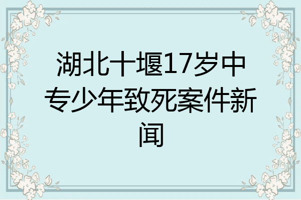 湖北十堰17岁中专少年致死案件新闻