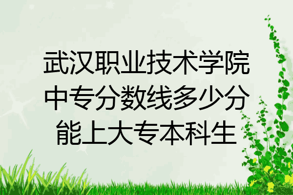 武汉职业技术学院中专分数线多少分能上大专本科生