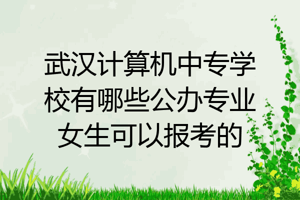 武汉计算机中专学校有哪些公办专业女生可以报考的