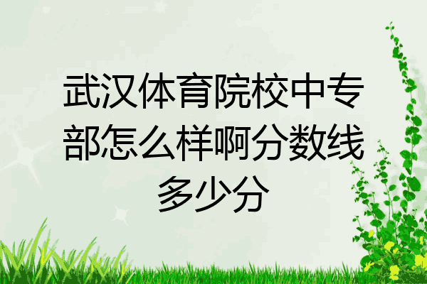 武汉体育院校中专部怎么样啊分数线多少分