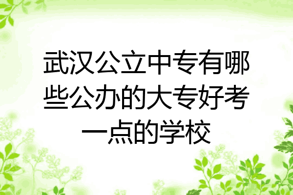 武汉公立中专有哪些公办的大专好考一点的学校