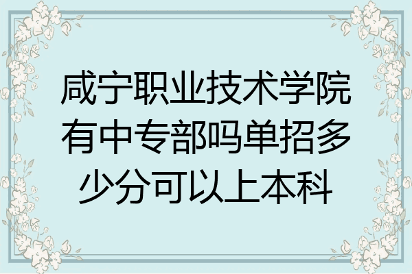咸宁职业技术学院有中专部吗单招多少分可以上本科