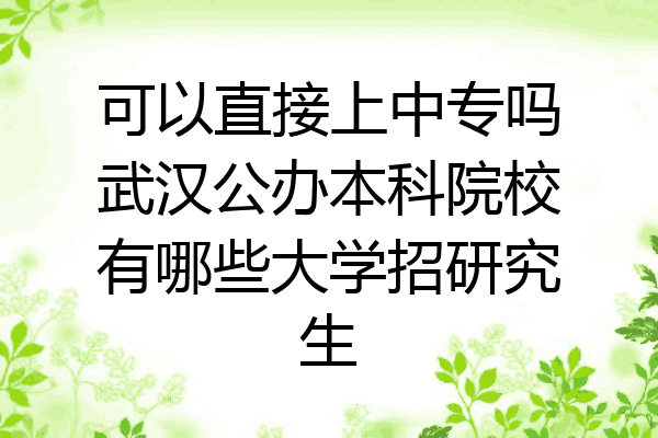 可以直接上中专吗武汉公办本科院校有哪些大学招研究生